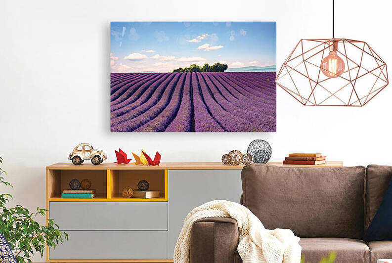 The Valensole plateau by Manjik Pictures