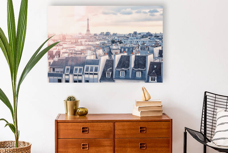 Paris roofs Reproduction