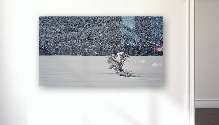 Winter is coming by Manjik Pictures