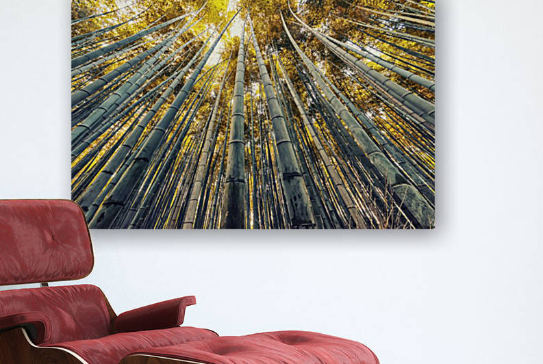 Bamboo grove by Manjik Pictures