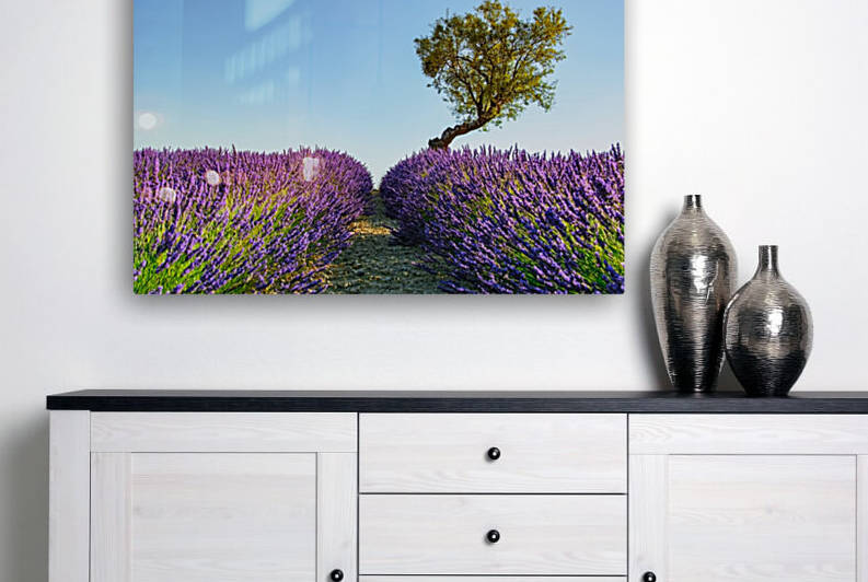 Provence by Manjik Pictures