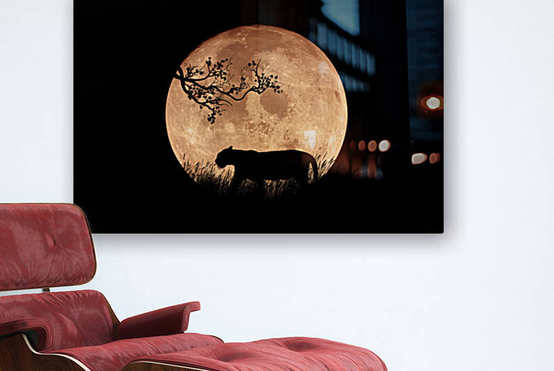 Full Moon by Manjik Pictures
