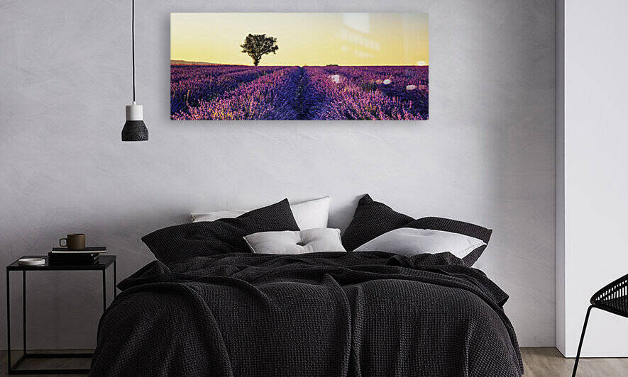Lavender field at sunset by Manjik Pictures