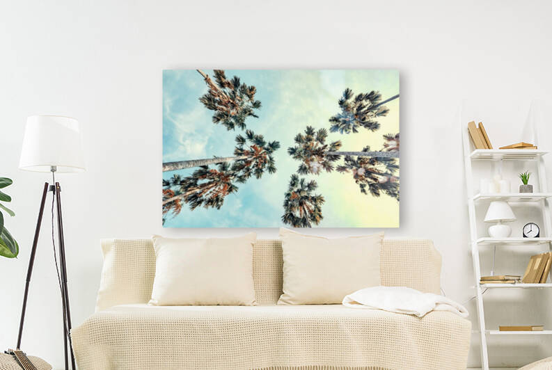 Palm trees Reproduction