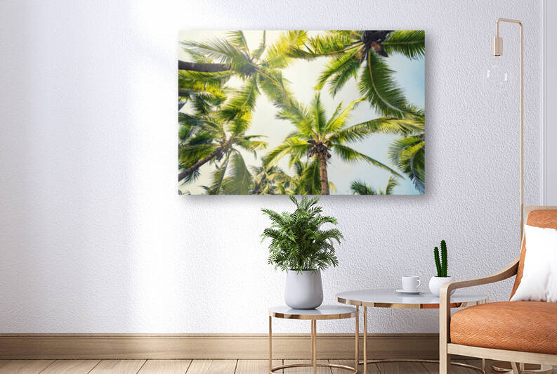  Tropical vibe Reproduction