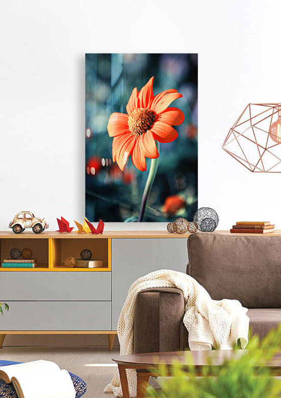 Orange Gazania Reproduction
