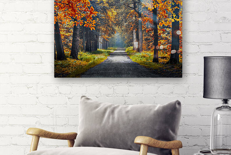 Autumn in Holland by Manjik Pictures