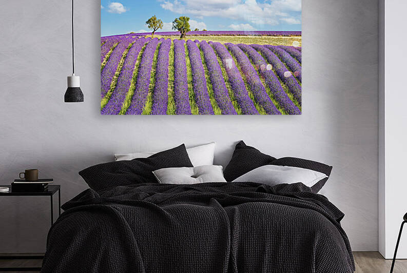 Summer In Provence by Manjik Pictures