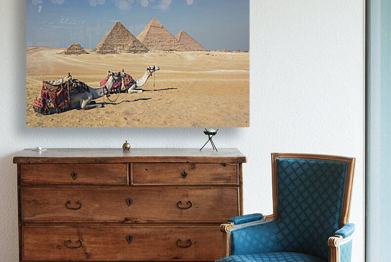 Camels In Giza by Manjik Pictures