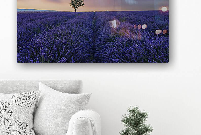 Valensole Sunset by Manjik Pictures