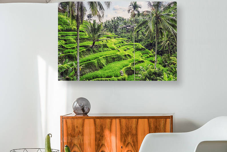  Tegallalang Rice Terraces by Manjik Pictures