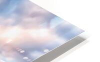  French sakura HD Metal print