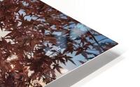 Mount Fuji HD Metal print