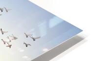 Birds flight HD Metal print