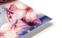 Sakura HD Metal print