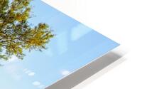 Provence HD Metal print