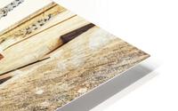 Pont del Bisbe HD Metal print