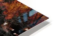 Into the forest HD Metal print
