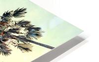 Palm trees HD Metal print