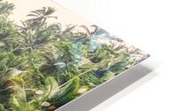 Tegalalang HD Metal print