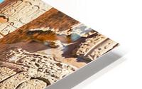Temple Visit HD Metal print