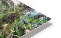  Tegallalang Rice Terraces HD Metal print