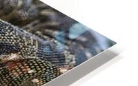 Monitor Lizard HD Metal print