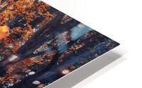 Autumn Light HD Metal print
