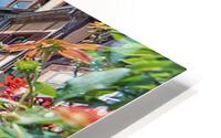 Colmar city HD Metal print
