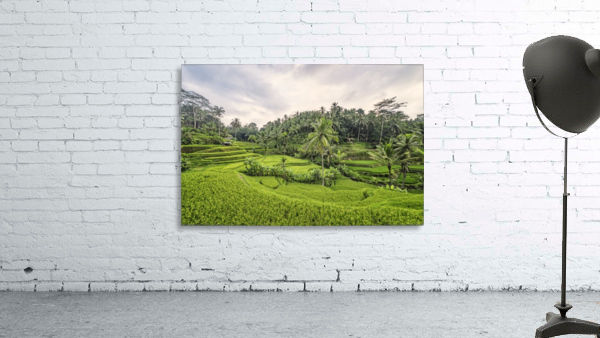 Tegallalang Wall Preview