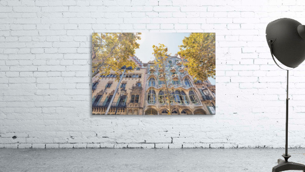 Casa Batllo Wall Preview