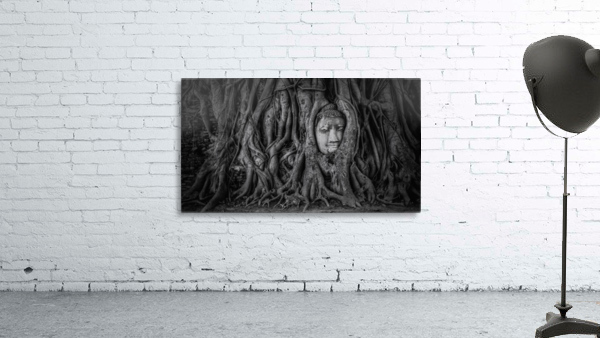 Ayutthaya Wall Preview