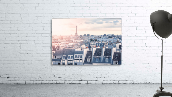 Paris roofs Wall Preview