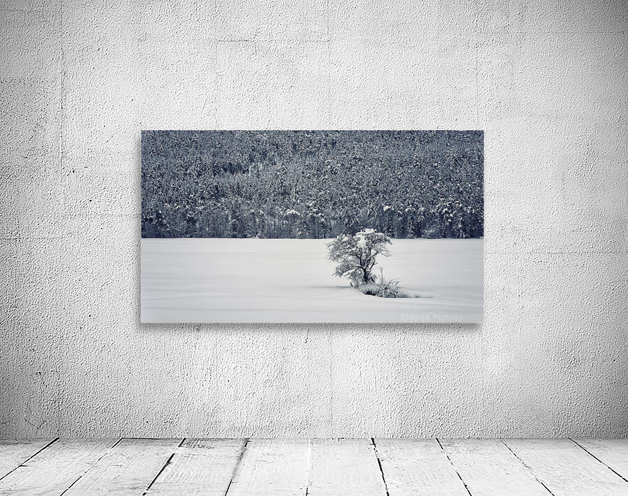 Winter is coming Wall Preview
