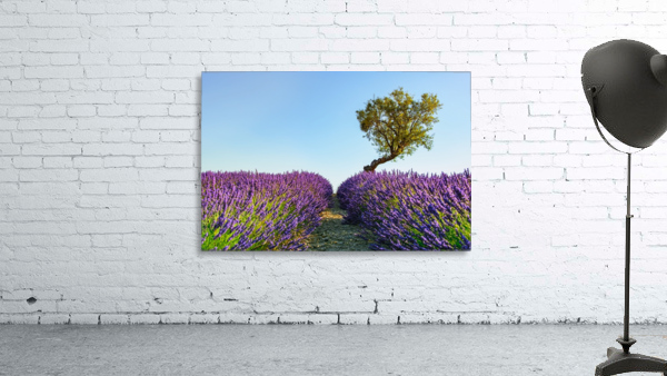 Provence Wall Preview