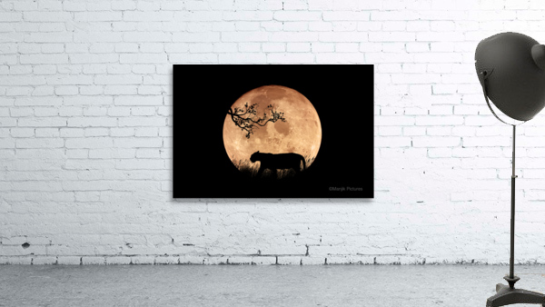 Full Moon Wall Preview