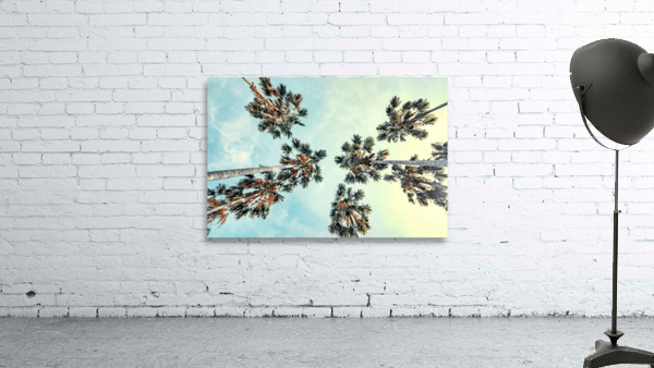 Palm trees Wall Preview