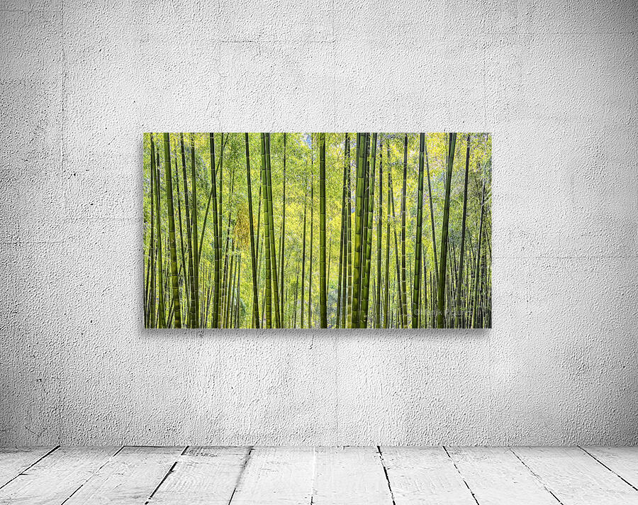 Bamboo Wall Wall Preview