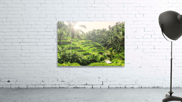 Tegalalang Wall Preview