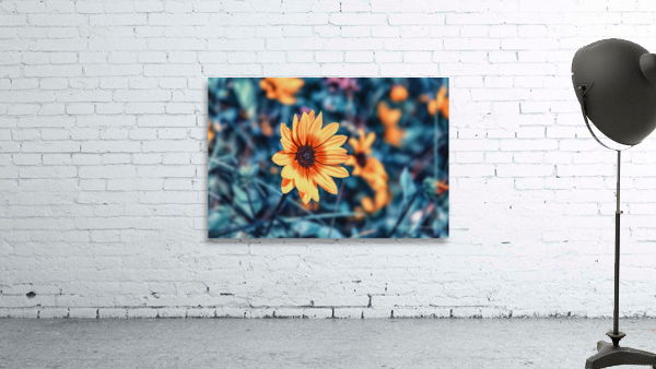 Flower Bed Wall Preview