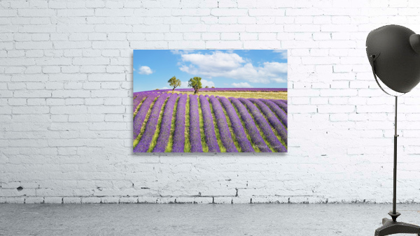 Summer In Provence Wall Preview