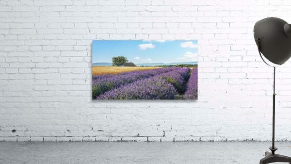 French Countryside Wall Preview