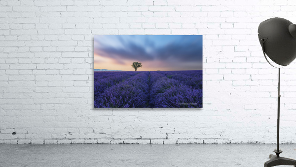 Valensole Sunset Wall Preview