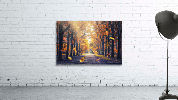 Autumn Light Wall Preview