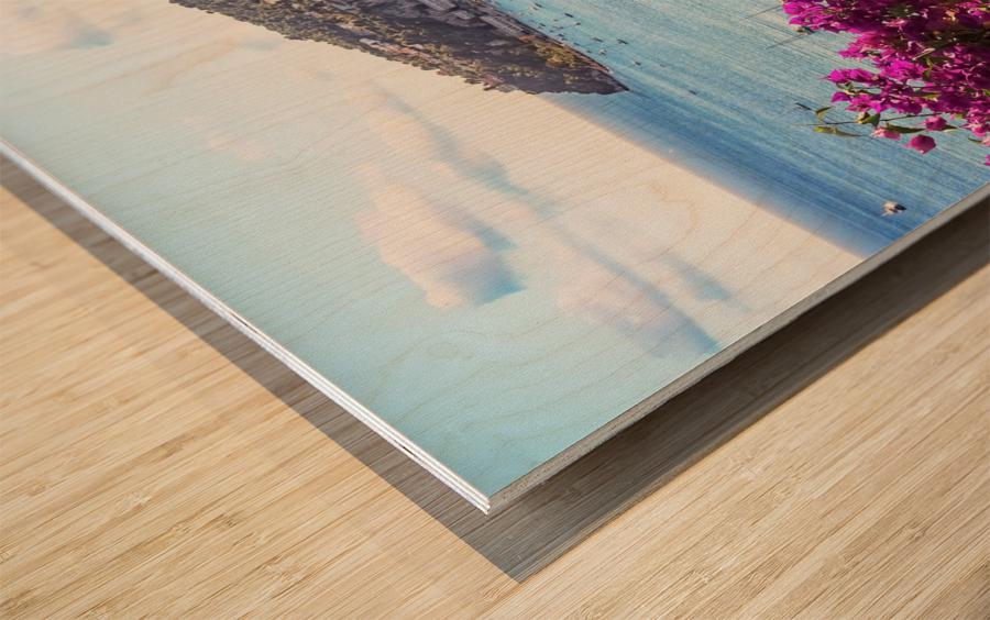Villefranche Sur Mer Wood print