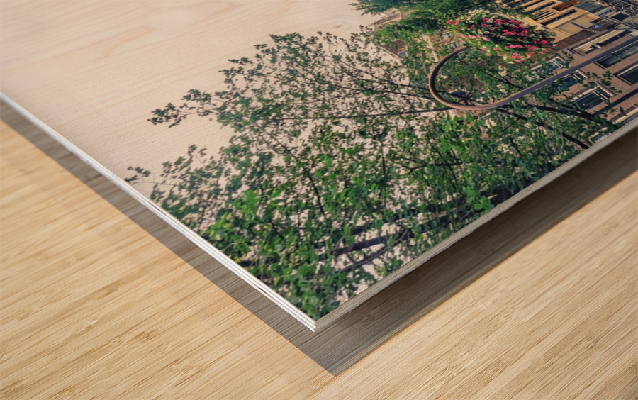 Amsterdam downtown Wood print