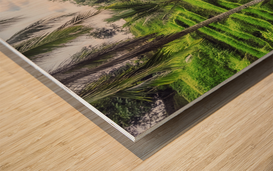  Tegallalang Rice Terraces Wood print