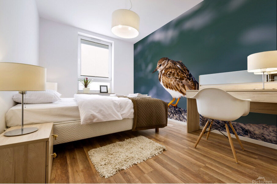 Sandpiper Mural print