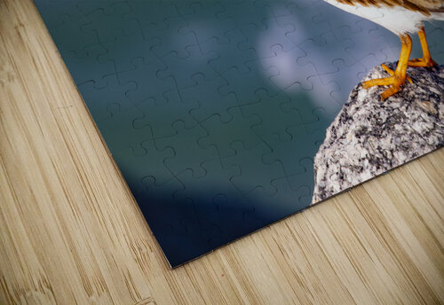 Sandpiper Cintia Campos puzzle