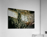 PHYTOLOGICAL_101 Acrylic Print